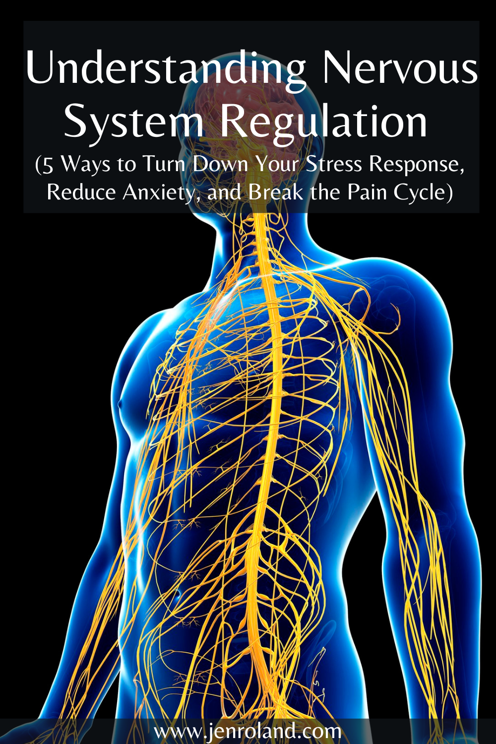 Understanding Nervous System Regulation - 5 Ways To Reduce Stress ...